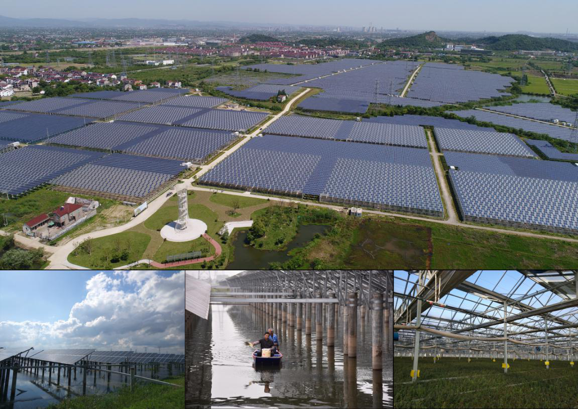 太阳能华东区彰显央企责任，助力地方经济